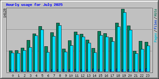 Hourly usage for July 2025