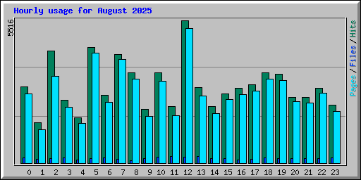Hourly usage for August 2025