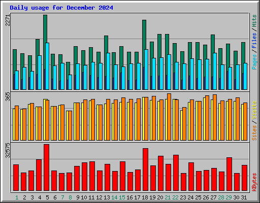 Daily usage for December 2024