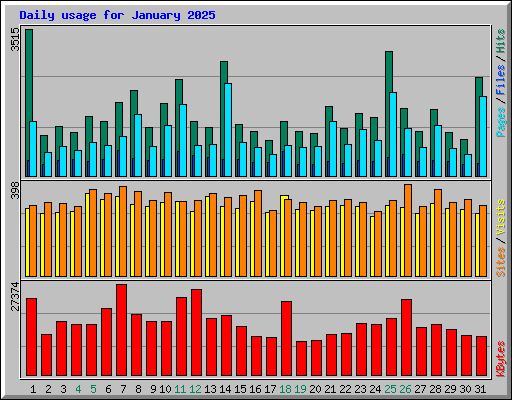 Daily usage for January 2025