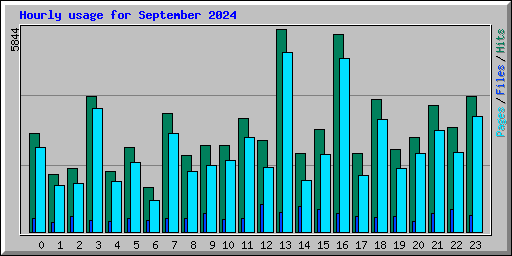 Hourly usage for September 2024