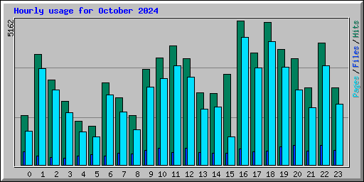 Hourly usage for October 2024