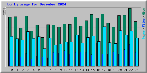 Hourly usage for December 2024