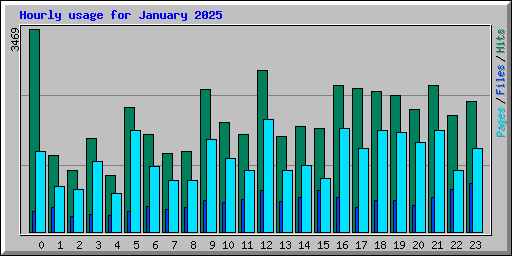 Hourly usage for January 2025