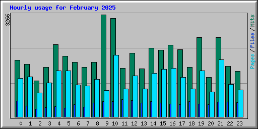 Hourly usage for February 2025