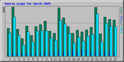 Hourly usage for March 2025
