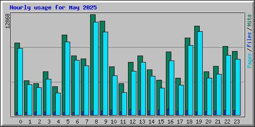 Hourly usage for May 2025