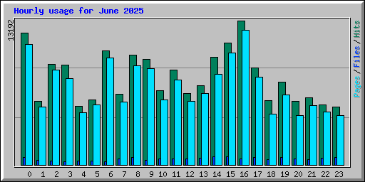 Hourly usage for June 2025