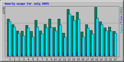 Hourly usage for July 2025