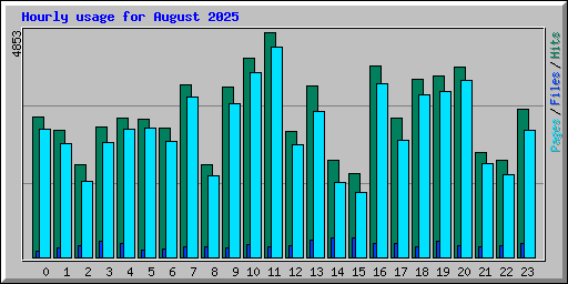Hourly usage for August 2025