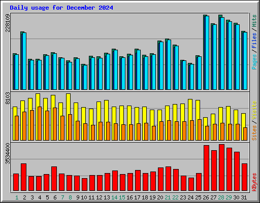 Daily usage for December 2024