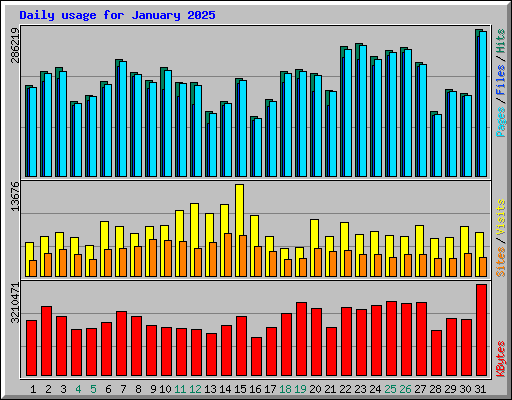 Daily usage for January 2025