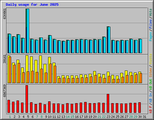Daily usage for June 2025