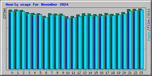Hourly usage for November 2024