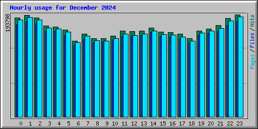 Hourly usage for December 2024