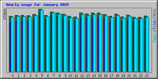 Hourly usage for January 2025