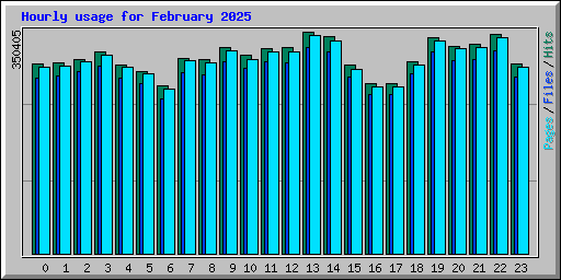 Hourly usage for February 2025