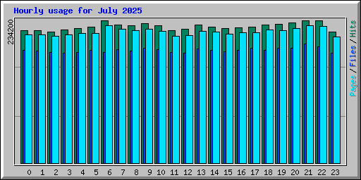 Hourly usage for July 2025