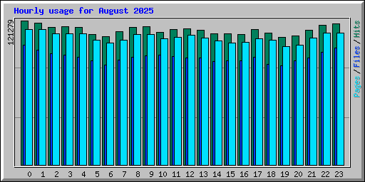 Hourly usage for August 2025
