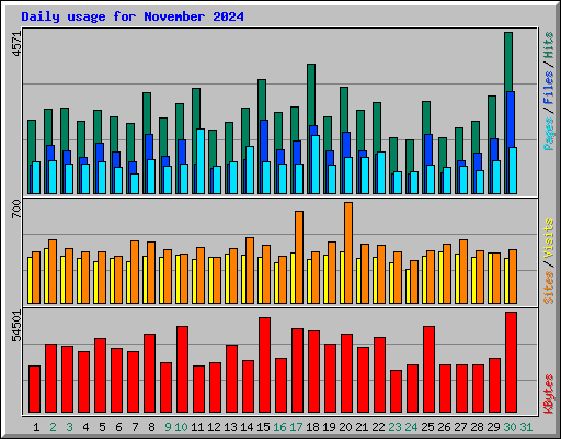 Daily usage for November 2024
