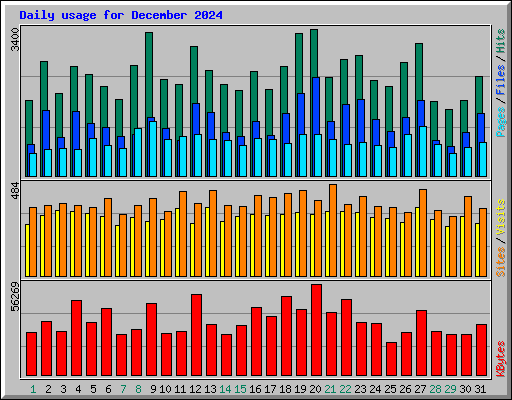 Daily usage for December 2024
