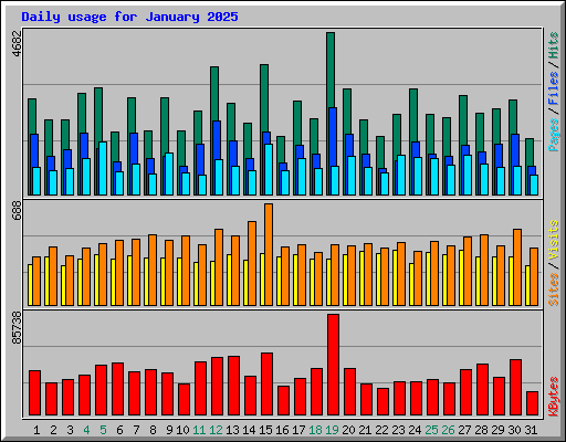 Daily usage for January 2025