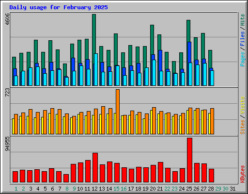 Daily usage for February 2025