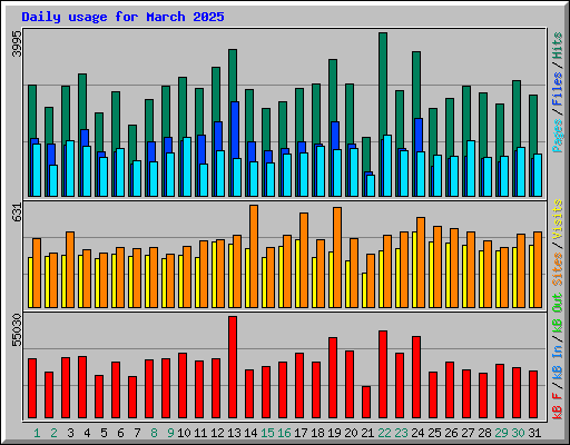 Daily usage for March 2025