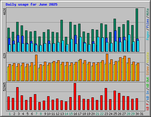 Daily usage for June 2025