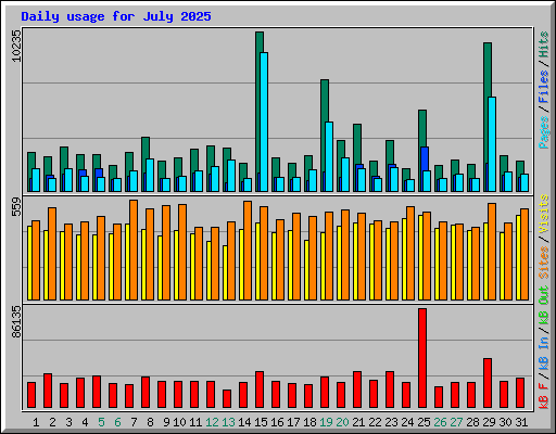 Daily usage for July 2025