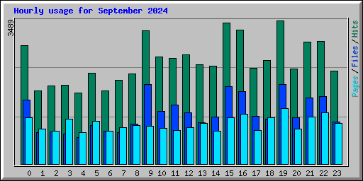 Hourly usage for September 2024