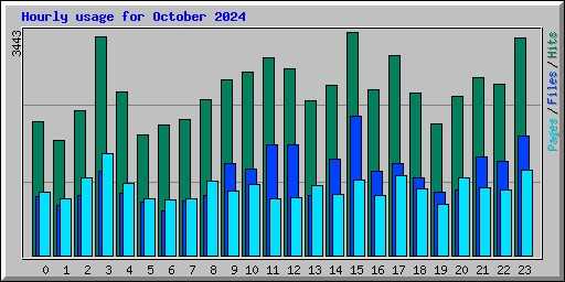 Hourly usage for October 2024
