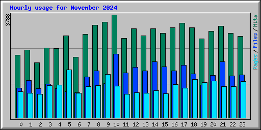 Hourly usage for November 2024