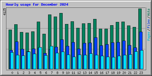 Hourly usage for December 2024