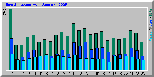 Hourly usage for January 2025