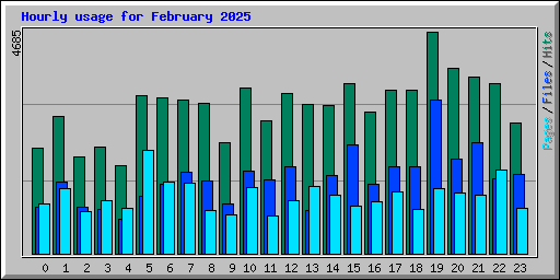 Hourly usage for February 2025