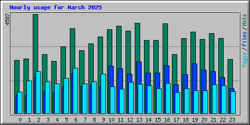 Hourly usage for March 2025