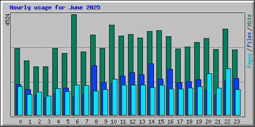 Hourly usage for June 2025