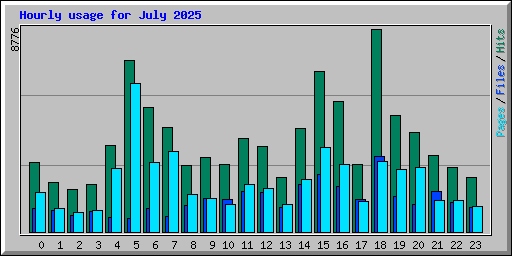 Hourly usage for July 2025