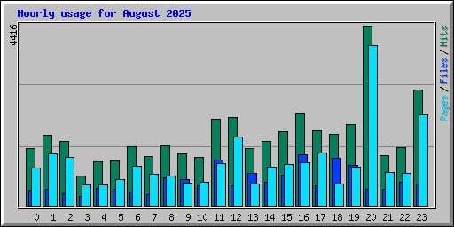 Hourly usage for August 2025