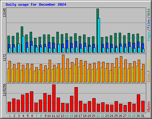 Daily usage for December 2024