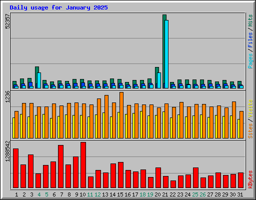 Daily usage for January 2025