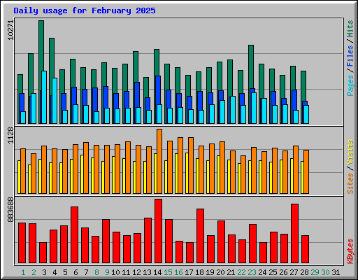 Daily usage for February 2025