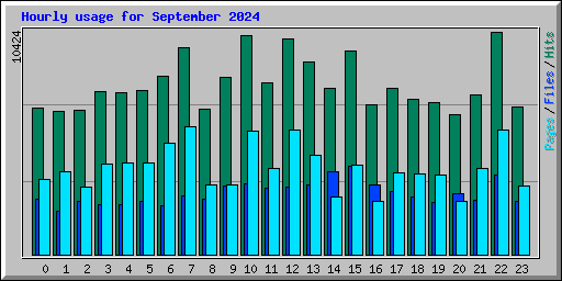 Hourly usage for September 2024