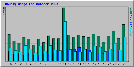 Hourly usage for October 2024