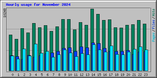 Hourly usage for November 2024