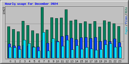 Hourly usage for December 2024
