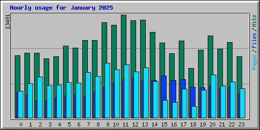 Hourly usage for January 2025