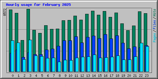Hourly usage for February 2025