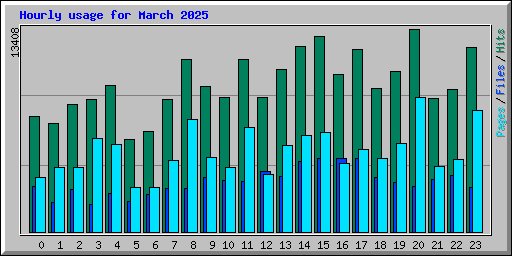 Hourly usage for March 2025